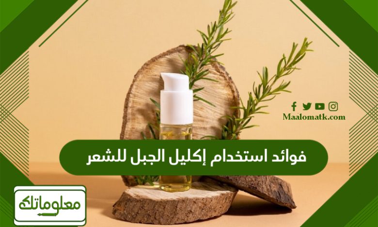 فوائد استخدام إكليل الجبل للشعر