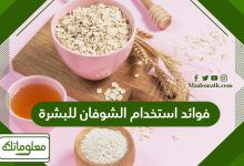 فوائد استخدام الشوفان للبشرة