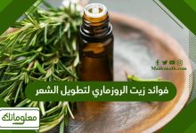 فوائد زيت الروزماري لتطويل الشعر