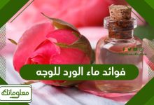 فوائد ماء الورد للوجه