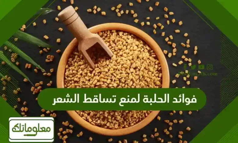 فوائد الحلبة لمنع تساقط الشعر