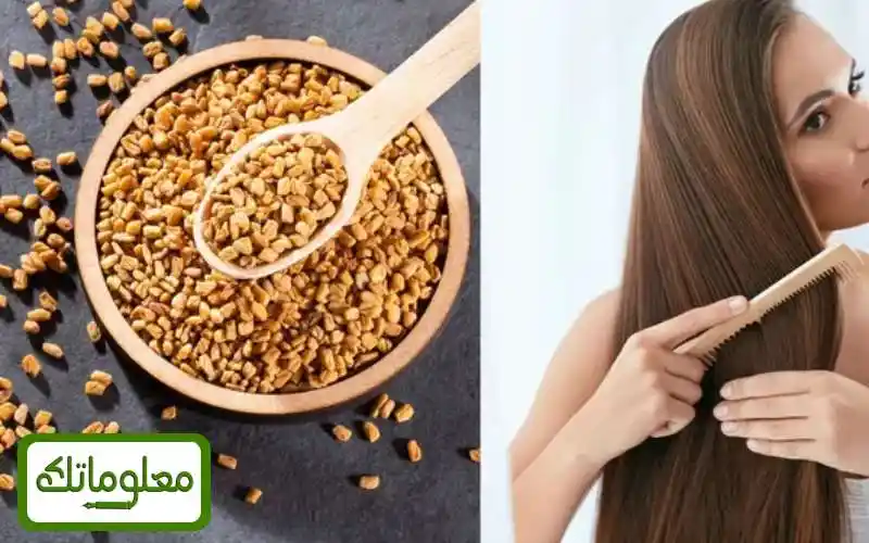 فوائد الحلبة لمنع تساقط الشعر