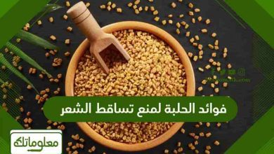 فوائد الحلبة لمنع تساقط الشعر