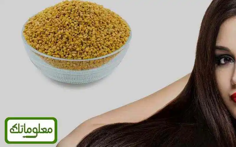 فوائد الحلبة لمنع تساقط الشعر