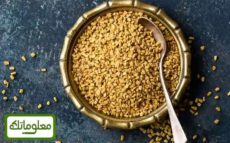 فوائد الحلبة لمنع تساقط الشعر