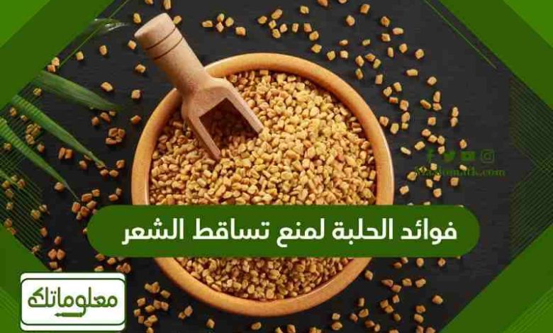 فوائد الحلبة لمنع تساقط الشعر